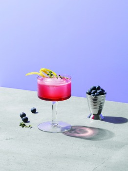 Blueberry-Garden-Fizz